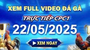Xem Lại Video Đá Gà CPC1 Ngày 22-05-2025 cùng GACAM67