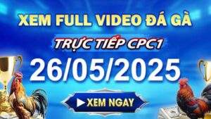 Xem Lại Video Đá Gà CPC1 Ngày 26-05-2025 cùng GACAM67