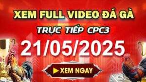 Xem Lại Video Đá Gà CPC3 Ngày 21-05-2025 cùng GACAM67
