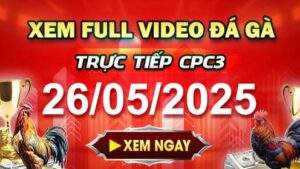 Xem Lại Video Đá Gà CPC3 Ngày 26-05-2025 cùng GACAM67