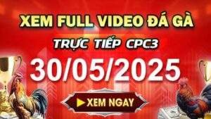 Xem Lại Video Đá Gà CPC3 Ngày 30-05-2025 cùng GACAM67