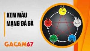 Cách xem màu mạng gà đá hay