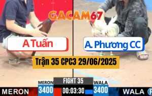 Trận 35 CPC3 29/06/2025 - Idol Phương Tóc Dài Trở Lại Đấu Trường C3