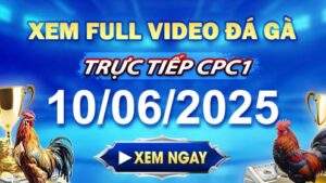 Xem Lại Video Đá Gà CPC1 Ngày 10-06-2025 cùng GACAM67