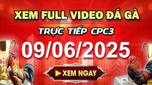 Xem Lại Video Đá Gà CPC3 Ngày 09-06-2025 cùng GACAM67