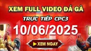Xem Lại Video Đá Gà CPC3 Ngày 10-06-2025 cùng GACAM67
