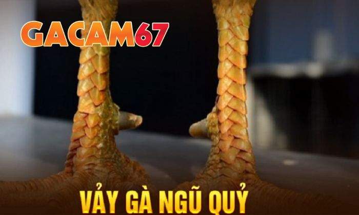 Giới thiệu về Vảy Ngũ Quý Giới thiệu về Vảy Ngũ Quý