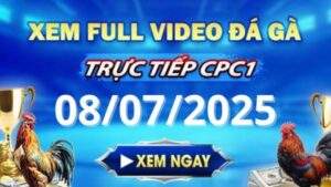 Xem lại video đá gà CPC1 ngày 08_07_2025 tại Gacam67