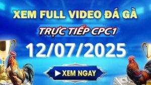 Xem lại video đá gà CPC1 ngày 12_07_2025 tại Gacam67