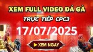 Xem lại video đá gà CPC3 ngày 17072025 tại Gacam67