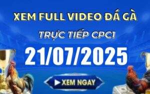 Xem Lại Video Đá Gà CPC1 Trực Tiếp Ngày 21/07/2025