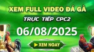 Xem Lại Video Đá Gà CPC2 Trực Tiếp Ngày 06_08_2025