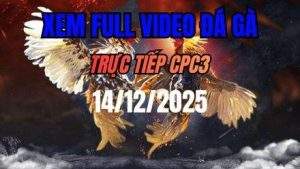 Xem Lai Video Da Ga CPC3 Truc Tiep Ngay 14122025 1