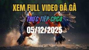 Xem Lai Video Da Ga CPC4 Truc Tiep Ngay 05122025 1