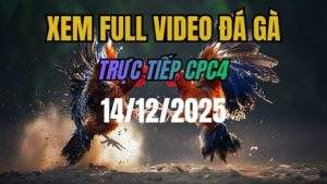Xem Lại Video Đá Gà CPC4 Trực Tiếp Ngày 14/12/2025