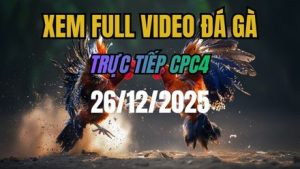 Xem Lại Video Đá Gà CPC4 Trực Tiếp Ngày 26/12/2025