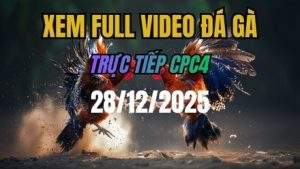 Xem Lại Video Đá Gà CPC4 Trực Tiếp Ngày 28/12/2025