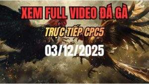 Xem Lại Video Đá Gà CPC5 Trực Tiếp Ngày 03/12/2025