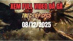 Xem Lại Video Đá Gà CPC5 Trực Tiếp Ngày 08/12/2025