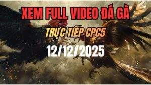 Xem Lại Video Đá Gà CPC5 Trực Tiếp Ngày 12/12/2025