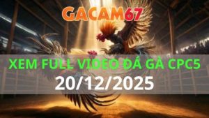Xem Lại Video Đá Gà CPC5 Trực Tiếp Ngày 20/12/2025