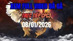 Xem Lại Video Đá Gà CPC3 Trực Tiếp Ngày 08/01/2026