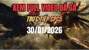 Xem Lại Video Đá Gà CPC5 Ngày 30/01/2026