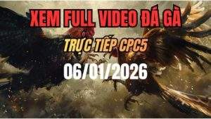 Xem Lại Video Đá Gà CPC5 Trực Tiếp Ngày 06/01/2026