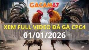 Xem Lại Video Đá Gà CPC4 Trực Tiếp Ngày 01/01/2026