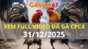 Xem Lại Video Đá Gà CPC4 Trực Tiếp Ngày 31/12/2025