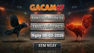 Xem Lại Video Đá Gà CPC3 Ngày 05/03/2026