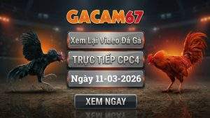 Xem Lại Video Đá Gà CPC4 Ngày 11/03/2026