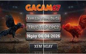 Xem Lại Video Đá Gà CPC2 Ngày 04/04/2026