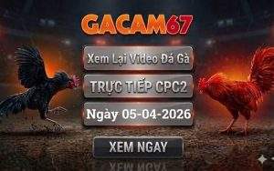 Xem Lại Video Đá Gà CPC2 Ngày 05/04/2026