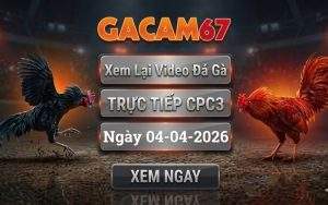 Xem Lại Video Đá Gà CPC3 Ngày 04/04/2026