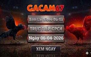 Xem Lại Video Đá Gà CPC4 Ngày 06/04/2026