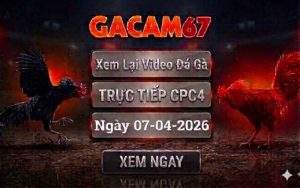 Xem Lại Video Đá Gà CPC4 Ngày 07/04/2026