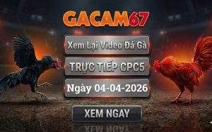 Xem Lại Video Đá Gà CPC5 Ngày 04/04/2026